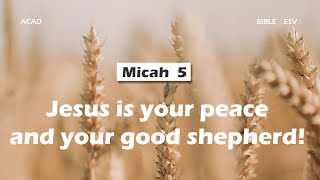 【Micah 5】Jesus is your peace and your good shepherd ｜ACAD Bible Reading [upl. by Willamina]