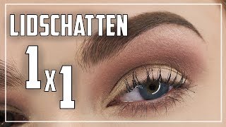 SO klappt es mit dem Lidschatten  Anfänger Guide  Lidschatten Tutorial Deutsch  Judy R [upl. by Nihsfa]