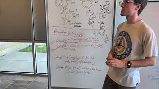 Nucleophiles and Electrophiles [upl. by Hudis]