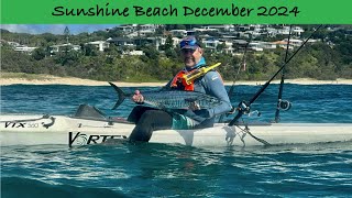 Spanish Mackerel  Noosa Kayak Fishing [upl. by Rebmaed]