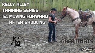 How To Move Your Colt Forward After Saddling  Horse Training Series 12 [upl. by Nais815]