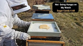 How do I Install A Candy Board For Honey Bees Plus Bloopers [upl. by Darton]