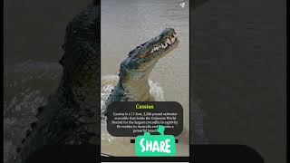 Top 10 largest crocodiles in world 👈🤔 shorts viral crocodile [upl. by Manno]