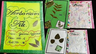 How to make Herbarium File  Science Project [upl. by Nasas]