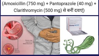 pantop hp tablet uses in hindi  Amoxicillin 750 mg  Pantoprazole 40 mg  Clarithromycin 500 mg [upl. by Koressa]