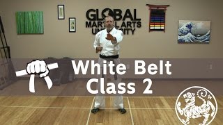 Shotokan Karate Follow Along Class  9th Kyu White Belt  Class 2 [upl. by Ciryl]