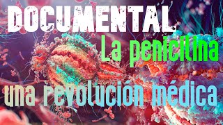 La penicilina una revolución médica Documental en español [upl. by Frissell]