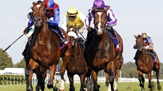 JAN BRUEGHEL wins the 2024 St Leger Stakes G1 at Doncaster [upl. by Uchida]