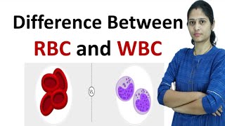 Difference between RBC and WBC in Hindi [upl. by Pavior50]