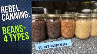 Canning Beans [upl. by Ylas]