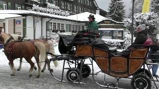 Titisee im Winter [upl. by Dippold]