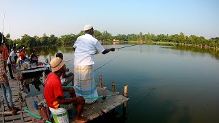 Bighead fishing with beautiful nature 🎣 Amazing hook fishing videos 🎣 Fishing [upl. by Hullda]