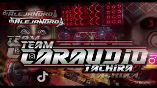 luna Don Omar  Team Car Audio TachiraDj Alejandro⚡🔥 [upl. by Kora772]