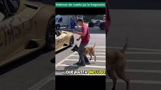 Pastor Belga Malinois Adiestrado a medias 🐕🚐 perros malinois malinua dogs adiestramiento [upl. by Wye]