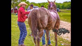 Corrido de La Flecha [upl. by Anitram]