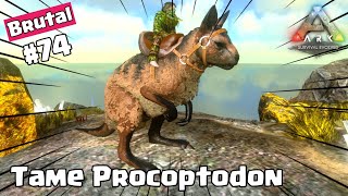 TAME PROCOPTODON DI MODE BRUTAL DENGAN MUDAH  ARK Survival Evolved [upl. by Orth]