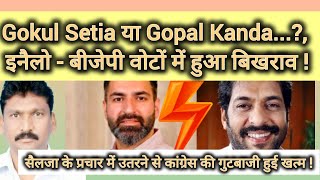 Gokul Setia या Gopal Kanda INLDBJP वोटों में हुआ बिखराव Selja के आने से गुटबाजी हुई खत्म [upl. by Pillyhp]