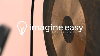 Company Values at Imagine Easy Solutions [upl. by Nos20]