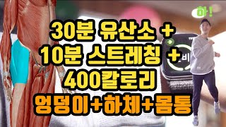 400칼로리30분유산소10분스트레칭하체 엉덩이 몸통 쫙쫙 [upl. by Grunberg]