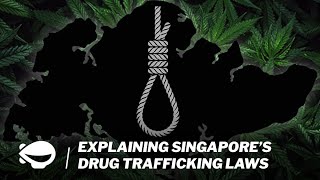 What happens if you smuggle drugs into Singapore  MS Explains [upl. by Cicily]