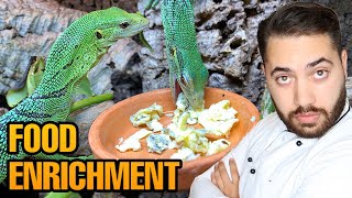 Feeding my Green Tree Monitors Varanus prasinus Gourmet Food [upl. by Cid]