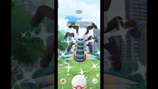 When I Got✨Shiny Giratina Raid in pokemongo [upl. by Brawley]