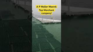 Maersk line  Maersk container  Maersk shipping  join merchant navy sailing ship travel [upl. by Niamreg]