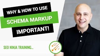 Why amp How To Add Schema To Your WordPress Website For Better SEO amp Visibility [upl. by Eilujna567]