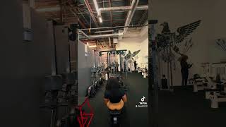 Seated Row back exercise unbigyourback youtubefyp youtubeshorts fypyoutube [upl. by Novert]