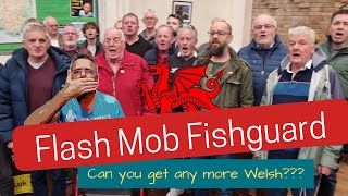 Spectacular Surprise Unleashed FLASH MOB Wows at the Fishguard Food Festival [upl. by Phyl499]