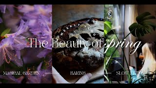 Calming Slow Living  Magical PNW Garden  Homemade Bread  The Beauty of Spring  silent vlog [upl. by Zarla]