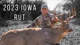 Toughest Deer Season To Date Davids 2023 Whitetail  Iowa Whitetail Rut  Mature Whitetails [upl. by Yak173]