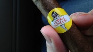 Cuban Honeys Cigar Review  Honey Flavor [upl. by Eliathan]