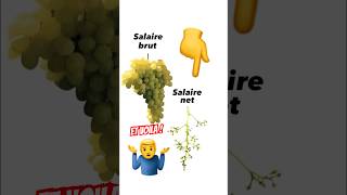 Le salaire NET… Cette BLAGUE 🤦‍♂️😂 Qui a remarqué  🤚 [upl. by Maples]