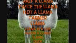 The Llama Song w Lyrics [upl. by Etnor]