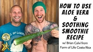 How to Use Aloe Vera amp Soothing Smoothie Recipe w Brian Calvi from Farm of Life Costa Rica [upl. by Allehs]