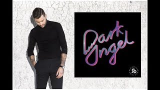 Robin Bengtsson  Dark Angel  Lyrics [upl. by Howes868]