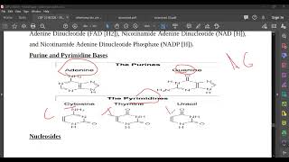 L85 Nucleotides [upl. by Allis]