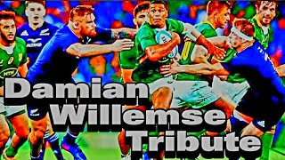 Damian Willemse Tribute  Attacking Springbok FullBack 🏉 SPECTACULAR Tries rugby sports [upl. by Gerald]