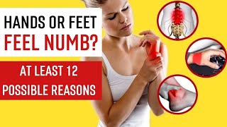 Numbness and Tingling in Hands Feet and Fingers – 12 Main Causes [upl. by Glynas449]