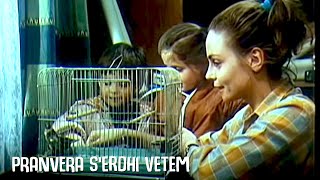 Pranvera serdhi vetem Film ShqiptarAlbanian Movie [upl. by Ayatnohs]