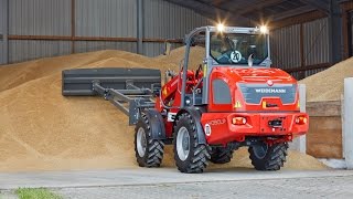 Weidemann – Radlader 4080LP Getreide aufschieben [upl. by Halstead962]