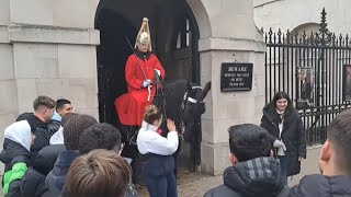 Tourist slaps horse across the face 3 times guard shouts step back gets police horseguardsparade [upl. by Nuncia]