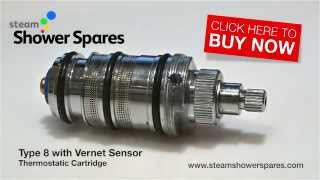 Type 8 Thermostatic Cartridge with VERNET Sensor [upl. by Ezitram506]