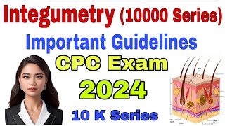 Integumetry Chapter 10 K Series Guidelines  Medical Coding  CPT Coding Guidelines  Skin Anatomy [upl. by Koby559]