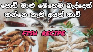 සාලයො රසට බදිමු  salayo malu badimu  easy fish recipe [upl. by Yoko]