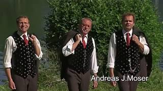 Junga Tåg  Das Original Video  MGV Almrose Radenthein  Kärnten Land der Lieder  2008 [upl. by Delsman]