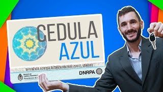 CEDULA AZUL 🚨 autorización para MANEJAR un auto [upl. by Denis]