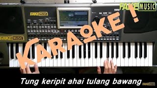 Tung Keripit Karaoke Dangdut Korg PA900 [upl. by Arrej]