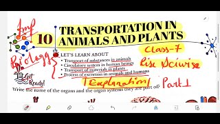 TRANSPORTATION IN ANIMALS AND PLANTS PART 1 CHAPTER 10 CLASS 7 EXPLANATION RISE SCIWISE [upl. by Ocsecnarf]